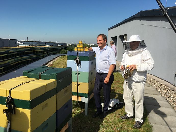 Honig-Verkostung auf dem Dach der Umweltbehörde. Umweltsenator Jens Kerstan und der Hamburger Imker Peter Hornberger überzeugten sich von der Qualität des Honigs. (Bild: BUE)